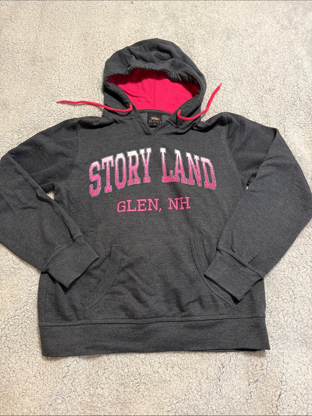 Story Land Charcoal Hoodie with Pink Accents